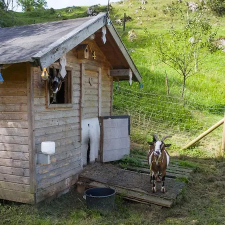 Gaestehaus Schreyer * Oberaudorf